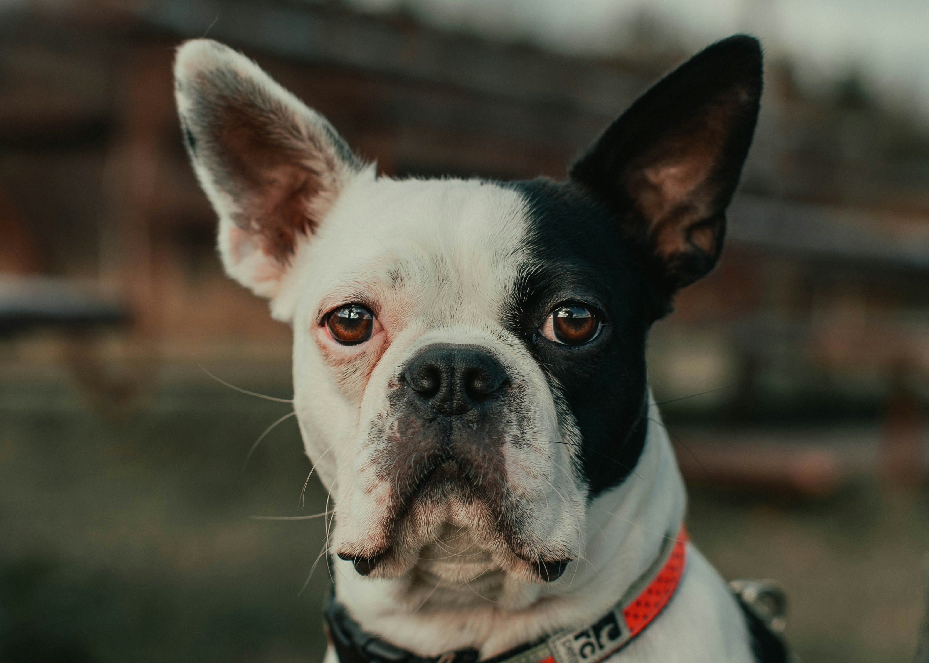 Photo by theshuttervision