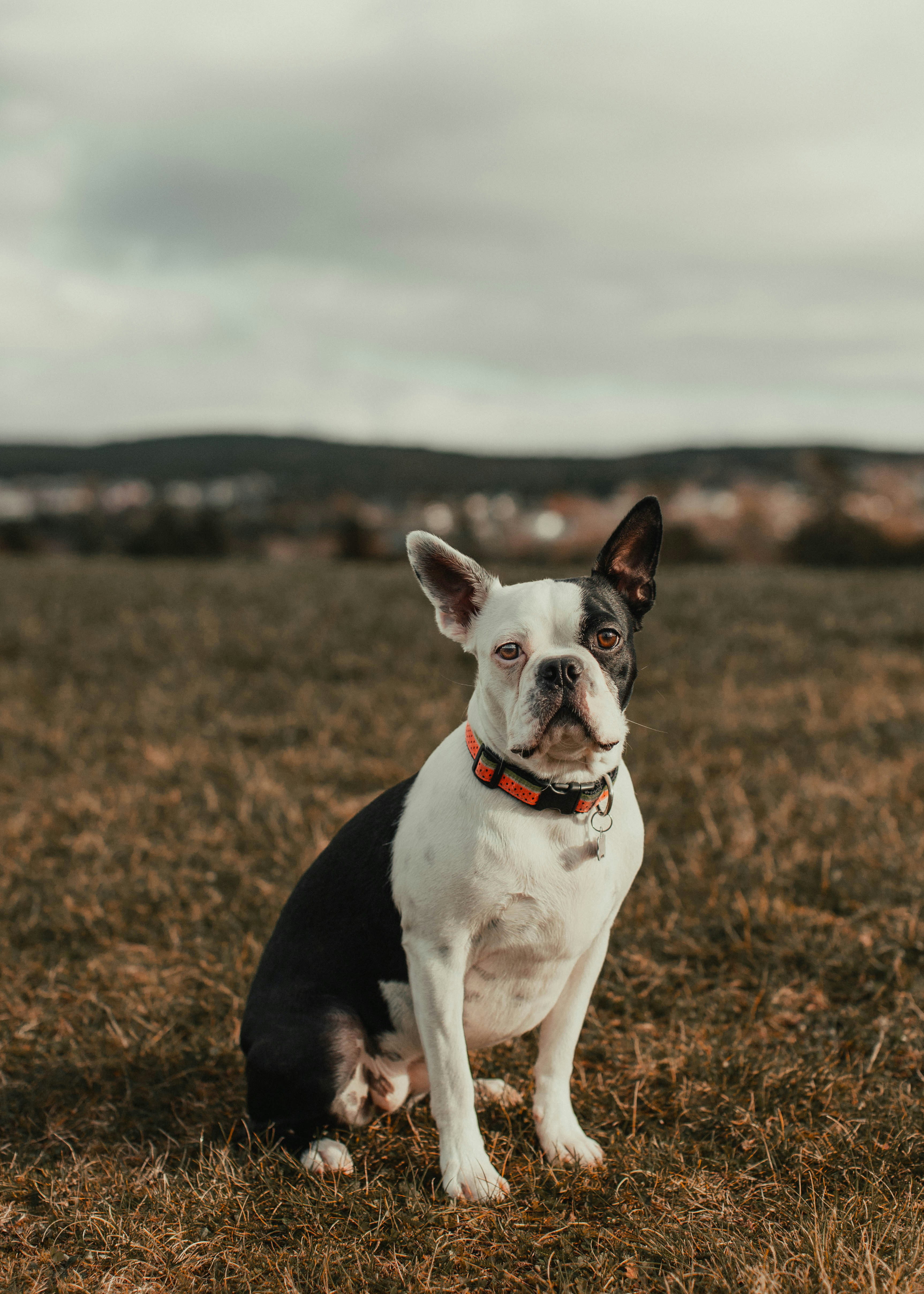 Photo by theshuttervision