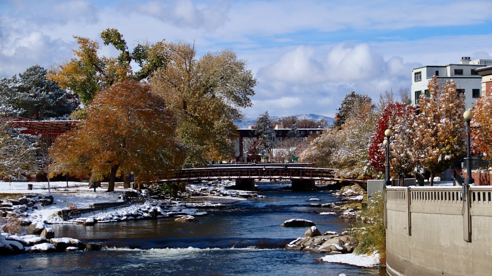 bridge over river surrounded by trees