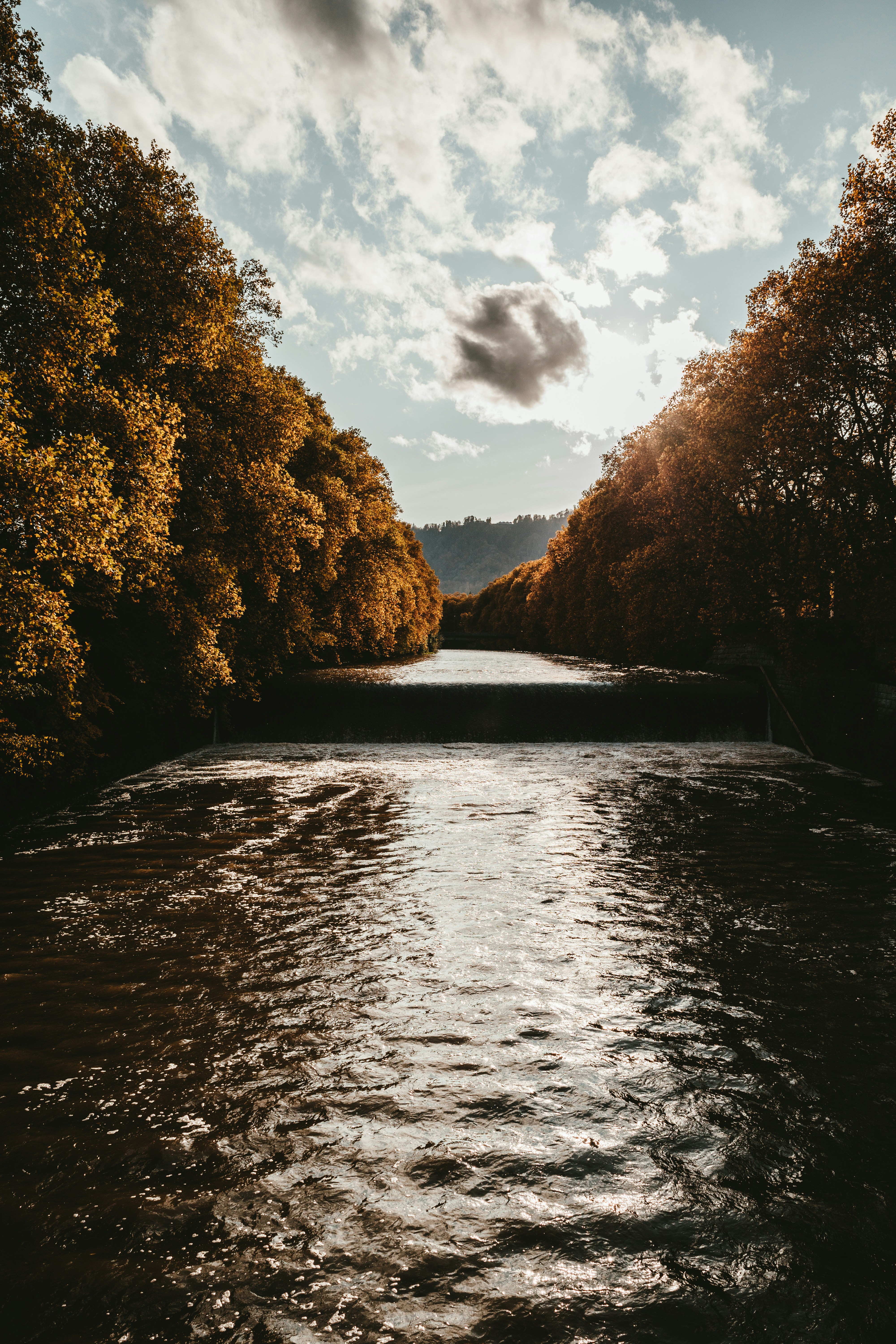 Photo by purzlbaum