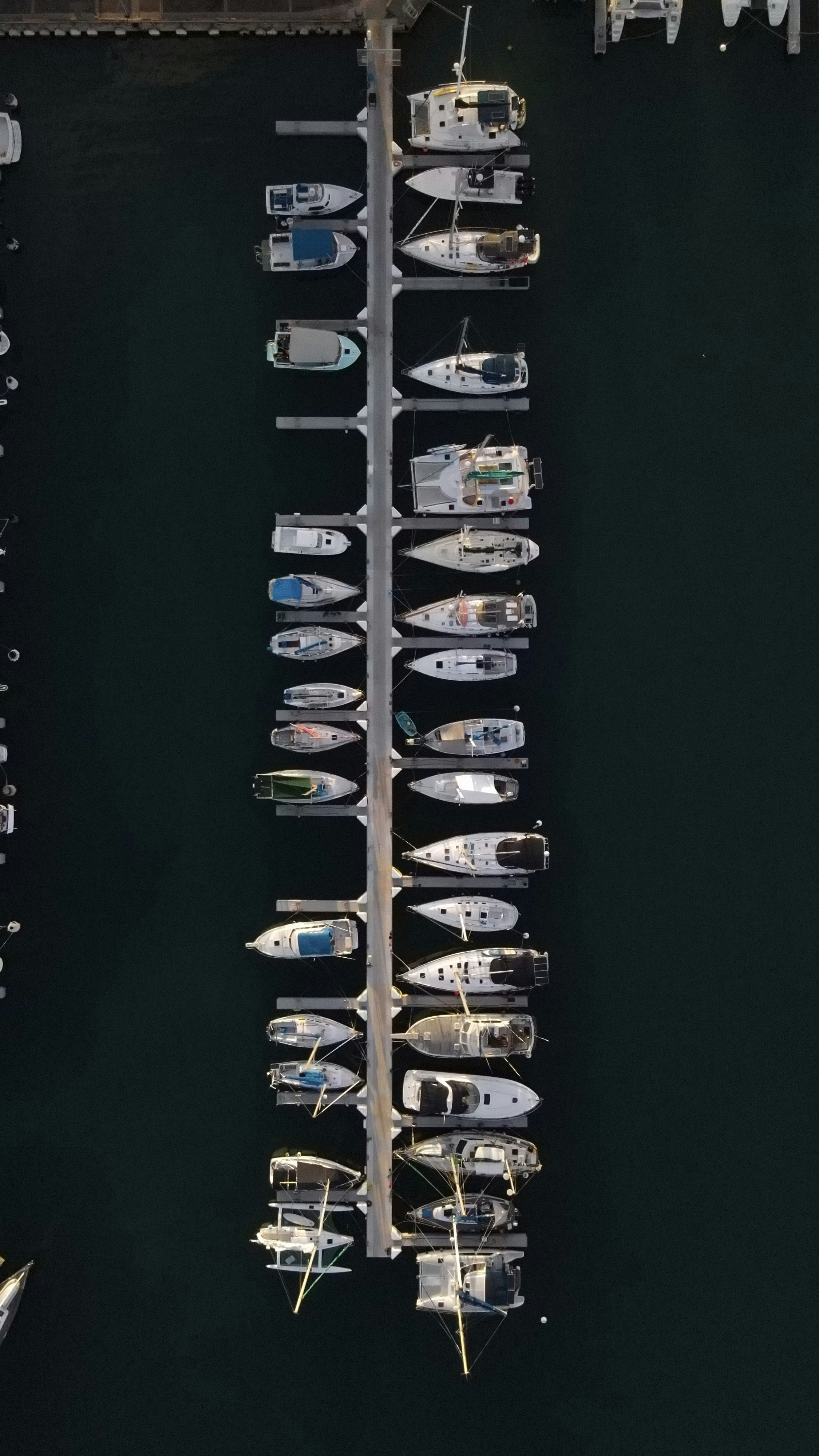 blue and white boat on sea during daytime