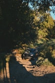 Dynamic shot of a rugged SUV driving through a forest trail.