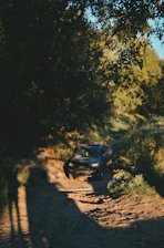 A rugged jeep winding through lush green forest trails under dappled sunlight.