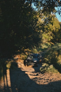 A rugged SUV driving through a forest trail with sunlight filtering through trees.