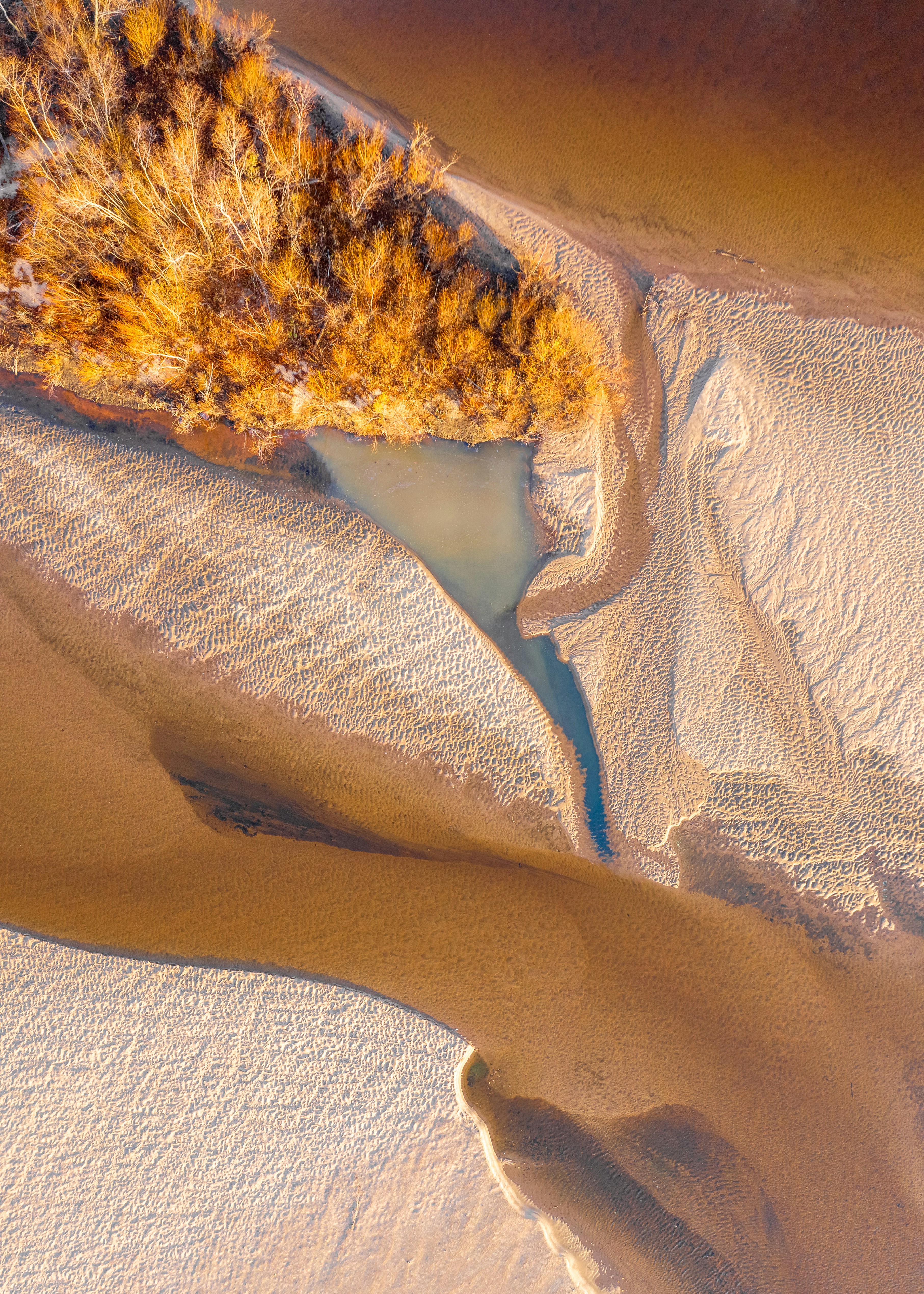 aerial view of white sand beach