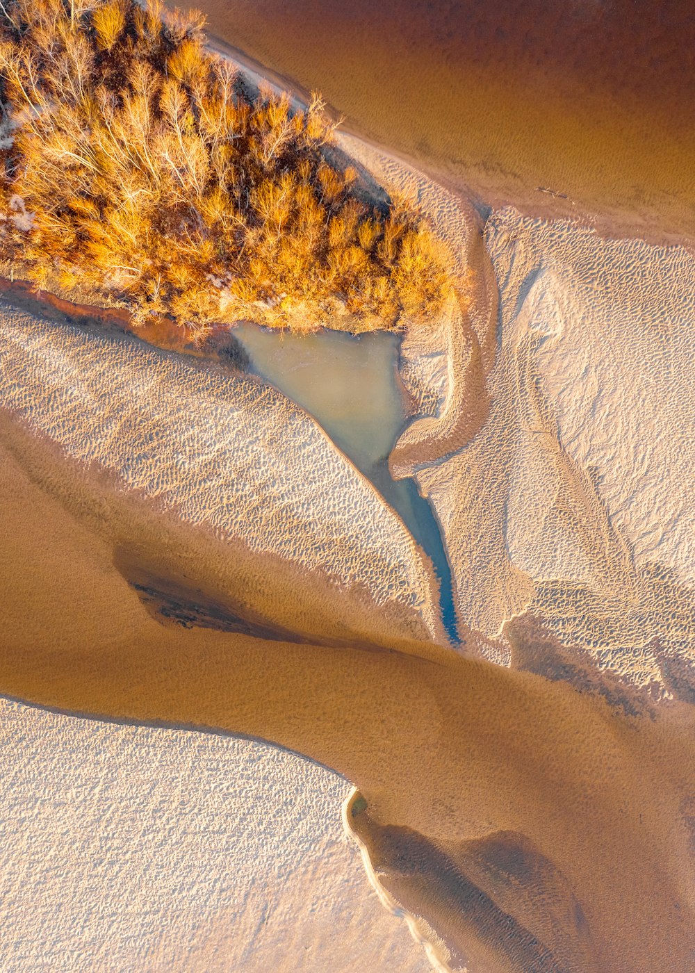 aerial view of white sand beach