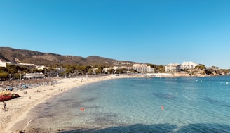 people on beach during daytime