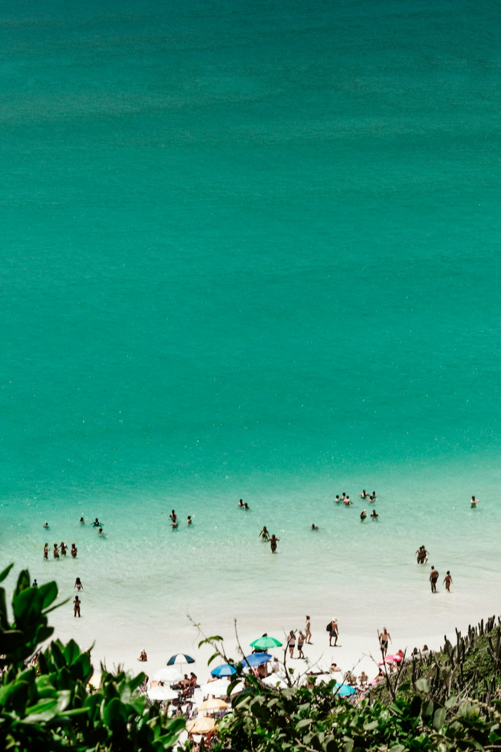 people on beach during daytime