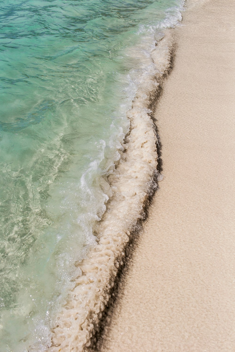 日中の水域のそばの茶色の砂浜
