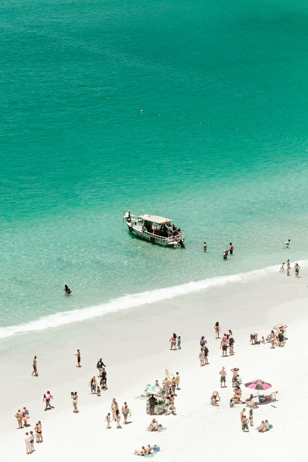 people on beach during daytime