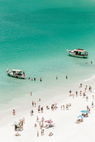 people on beach during daytime
