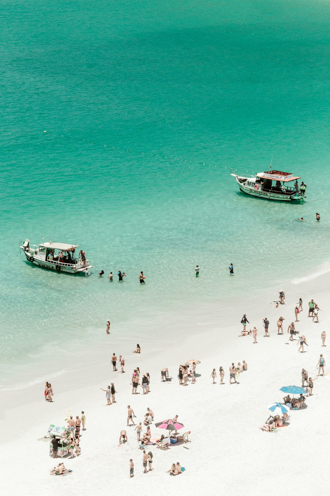 people on beach during daytime