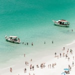 people on beach during daytime