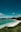 people on beach during daytime