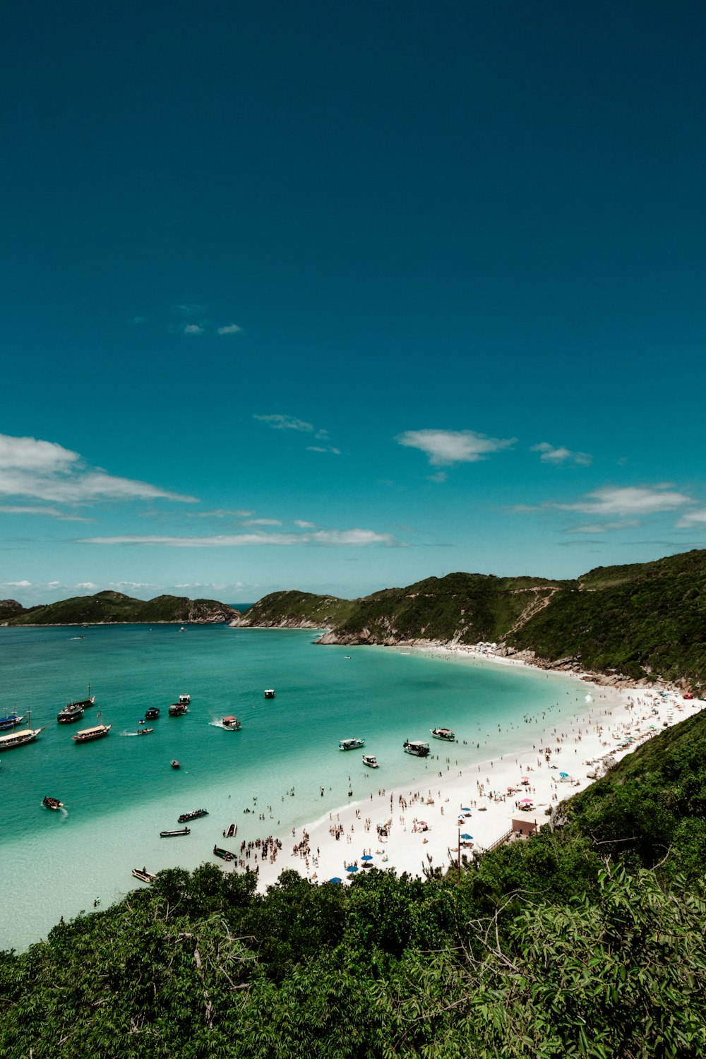 people on beach during daytime