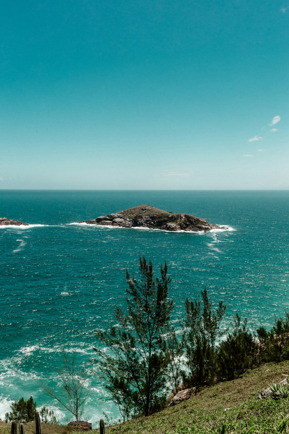 green trees on island surrounded by blue sea under blue sky during daytime