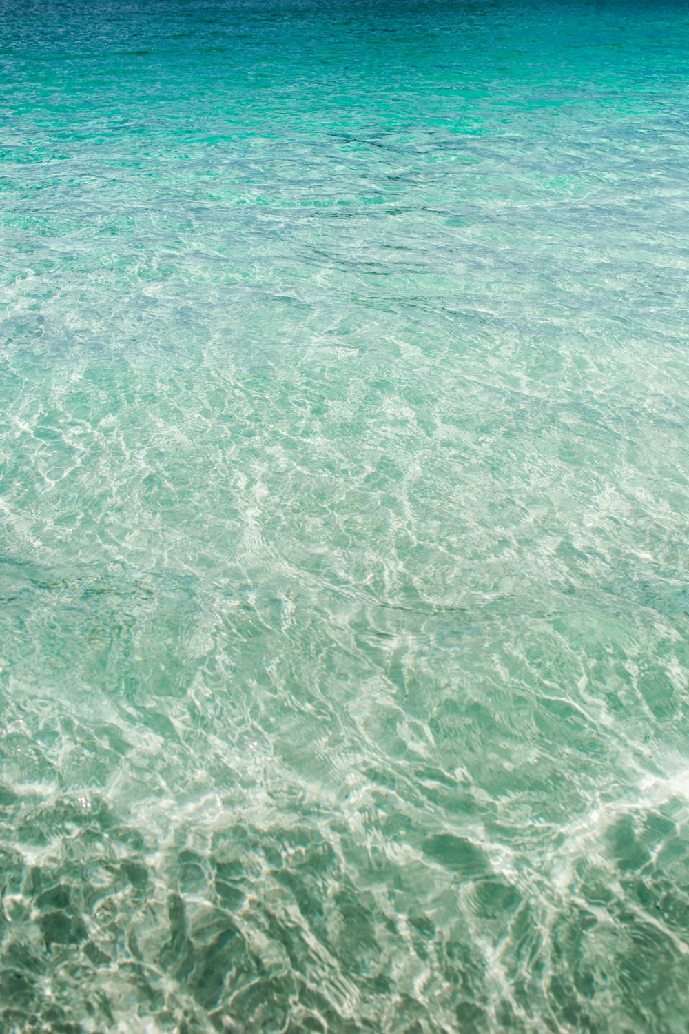 blue body of water during daytime