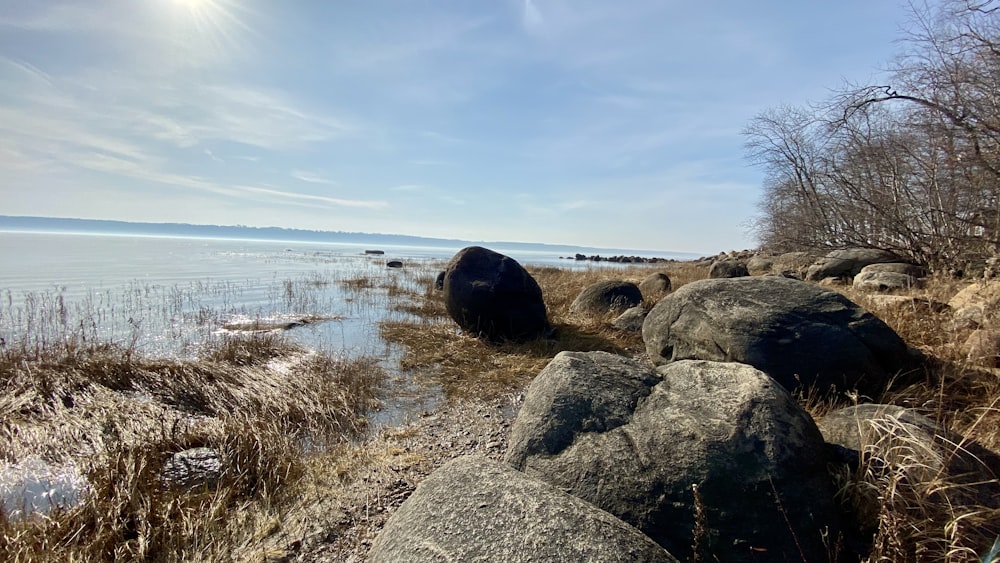 brown rock formation near body of water during daytime