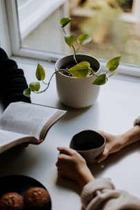 person reading book beside green plant in white ceramic pot