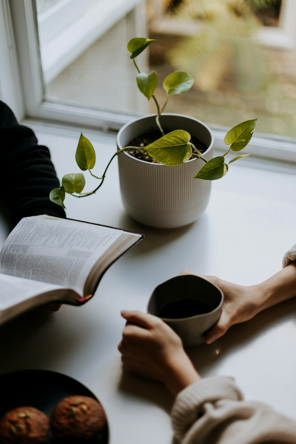 persona che legge il libro accanto alla pianta verde nel vaso di ceramica bianca