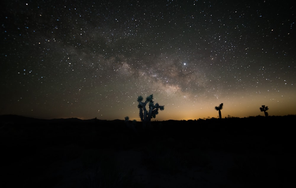 silhouette of 2 people standing on grass field under starry night