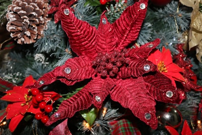 Close-up of a vibrant red poinsettia bouquet with delicate pine sprigs and cinnamon sticks.