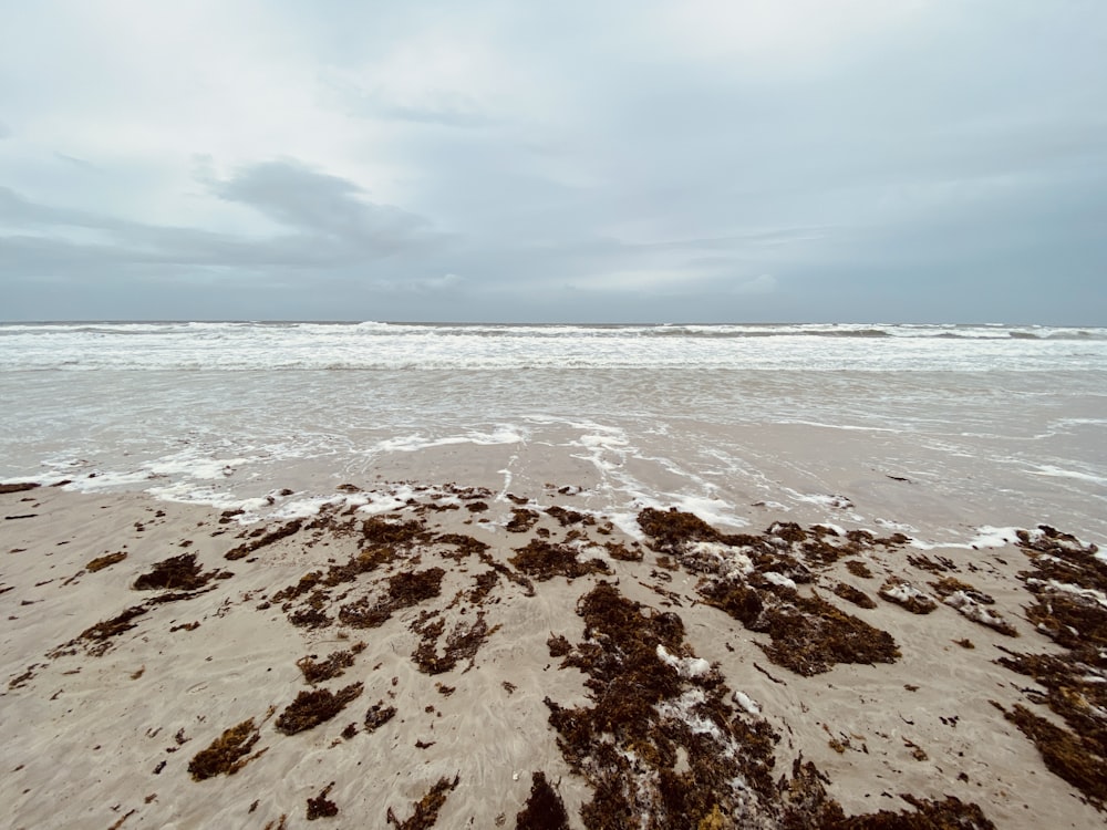 sabbia marrone sulla spiaggia durante il giorno