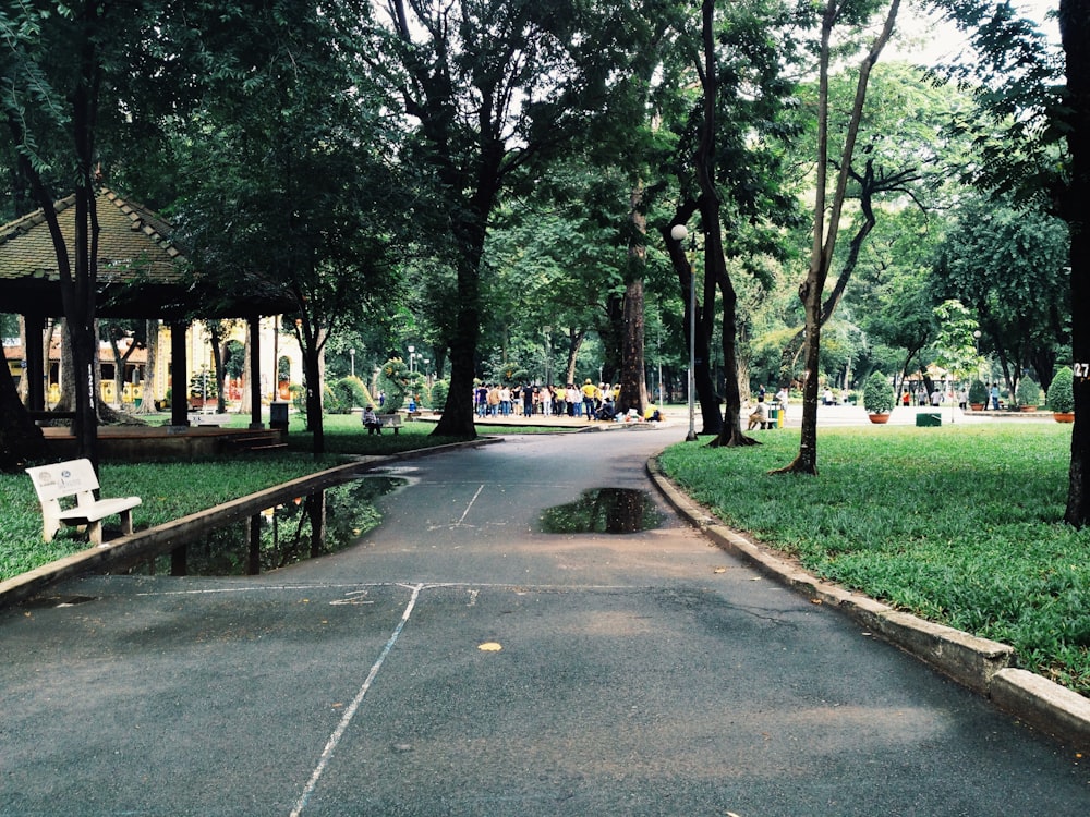 gray concrete road between green trees during daytime