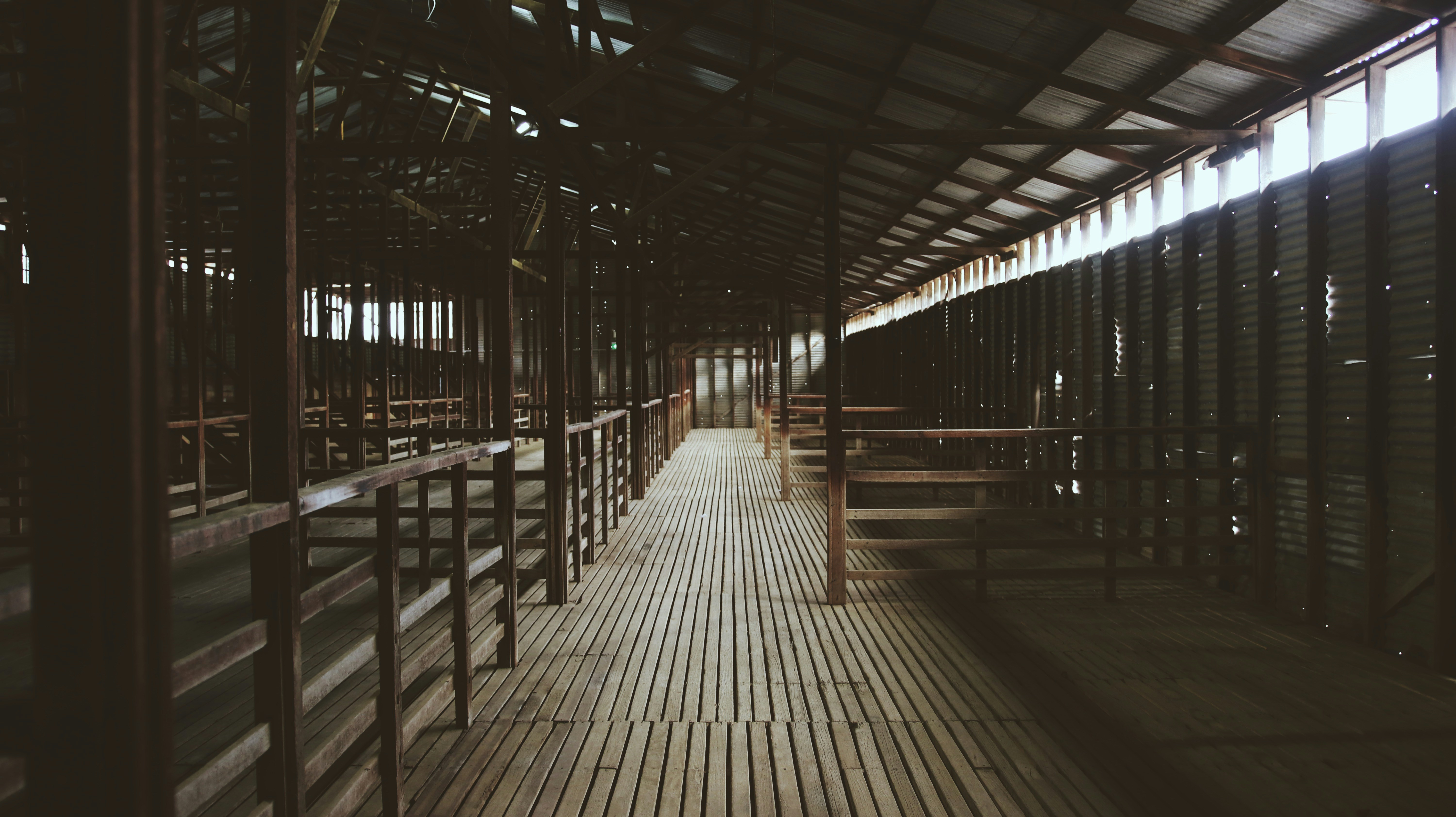 Photo by dom_t