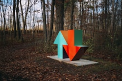 red and blue arrow sign surrounded by brown trees