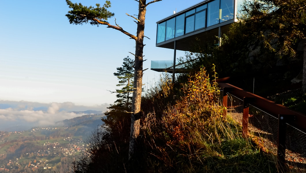 green tree on top of mountain during daytime