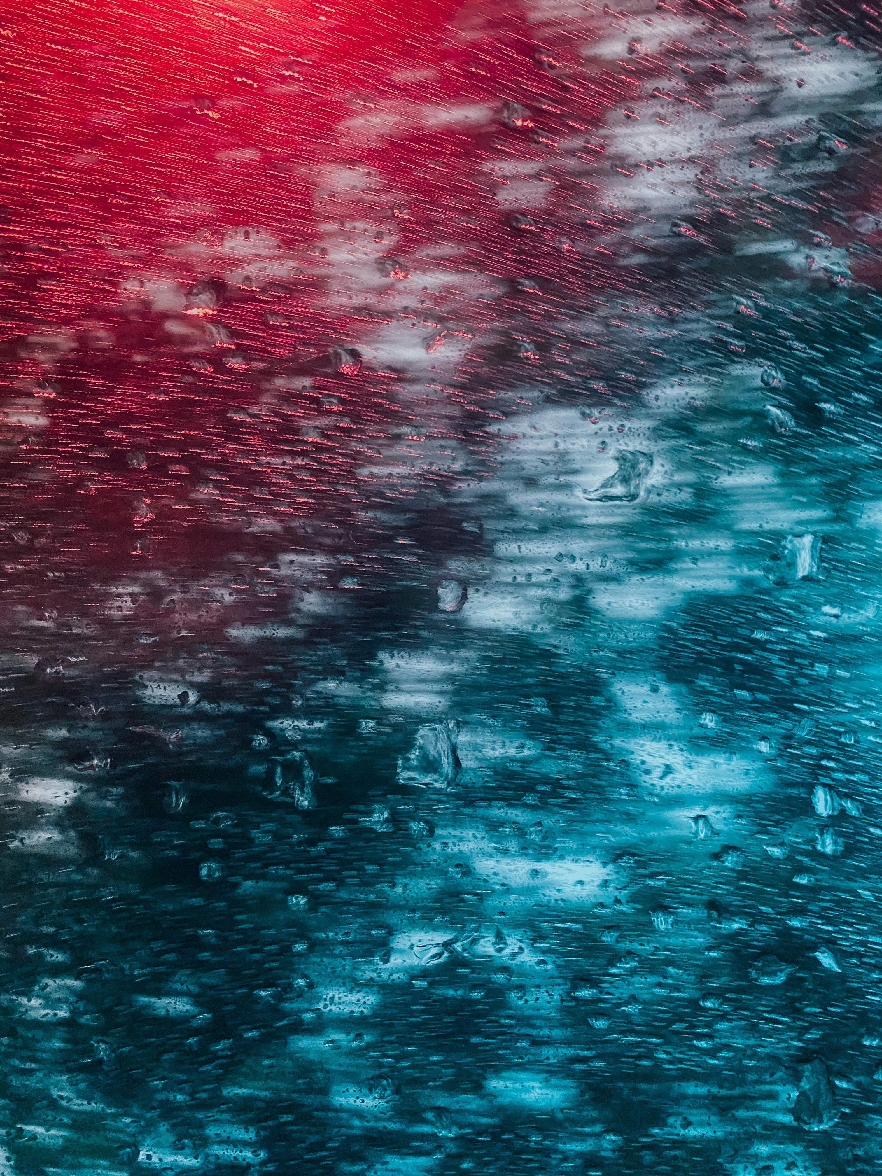 Weißer und schwarzer Vogel fliegt über dem Meer