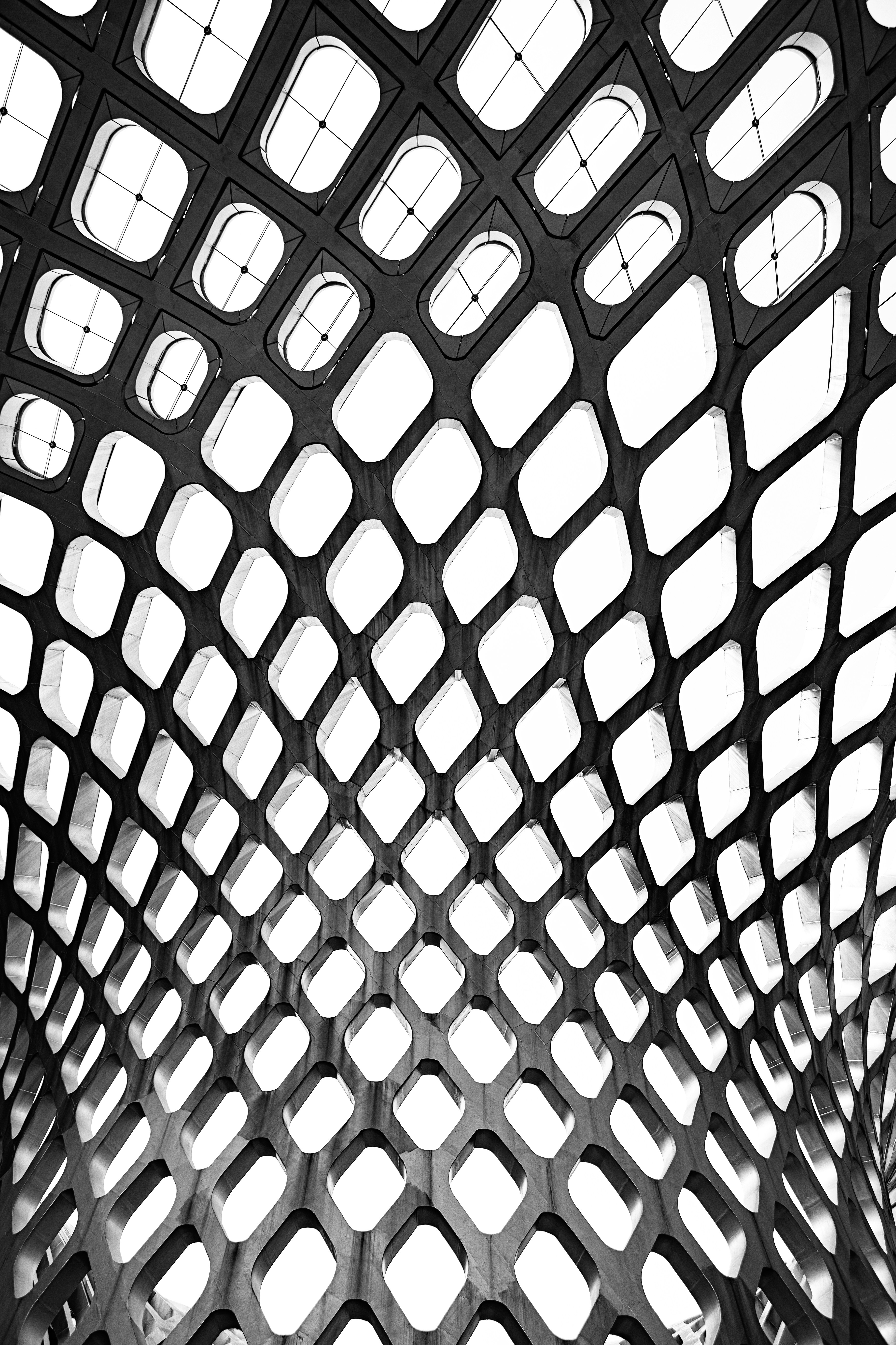 Photo by vinomamba24