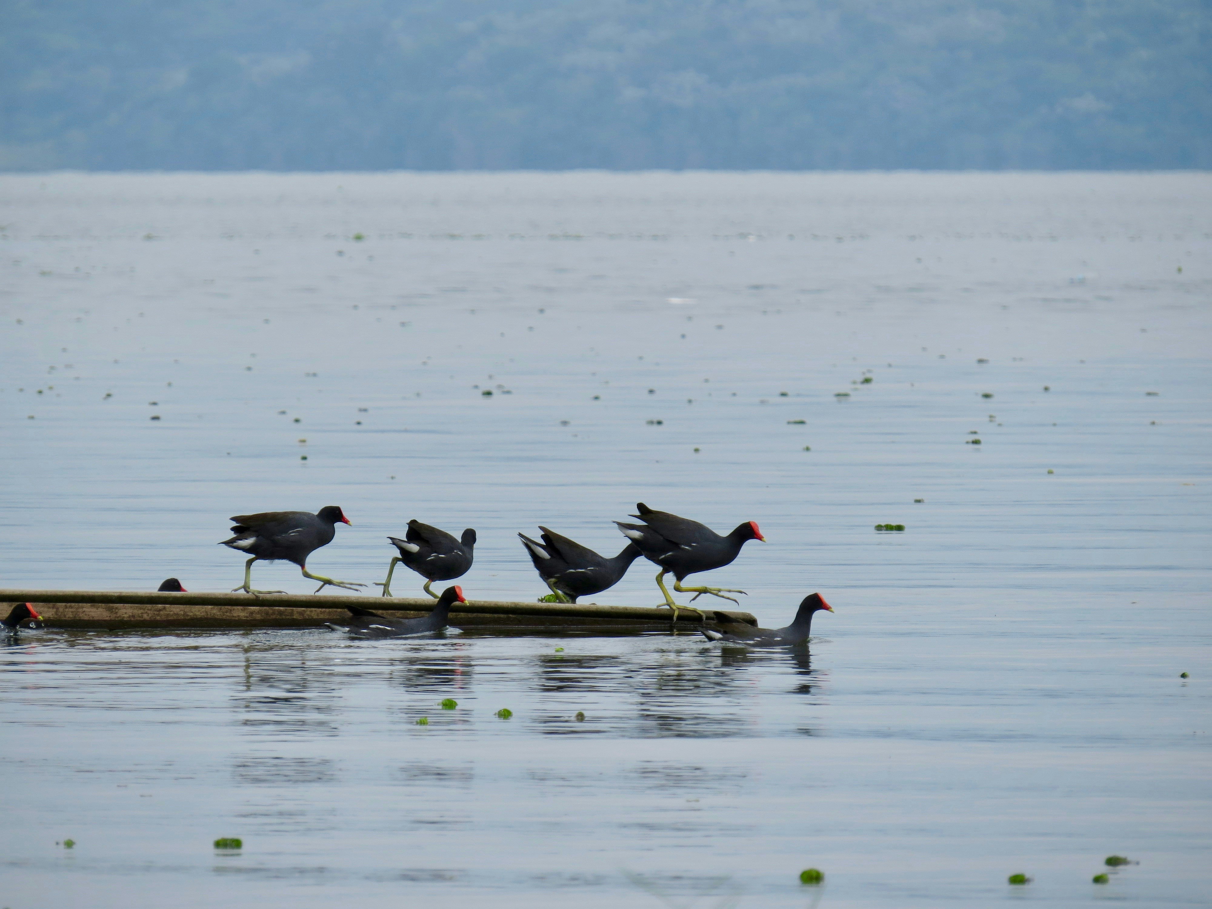 Photo by jaimedantas