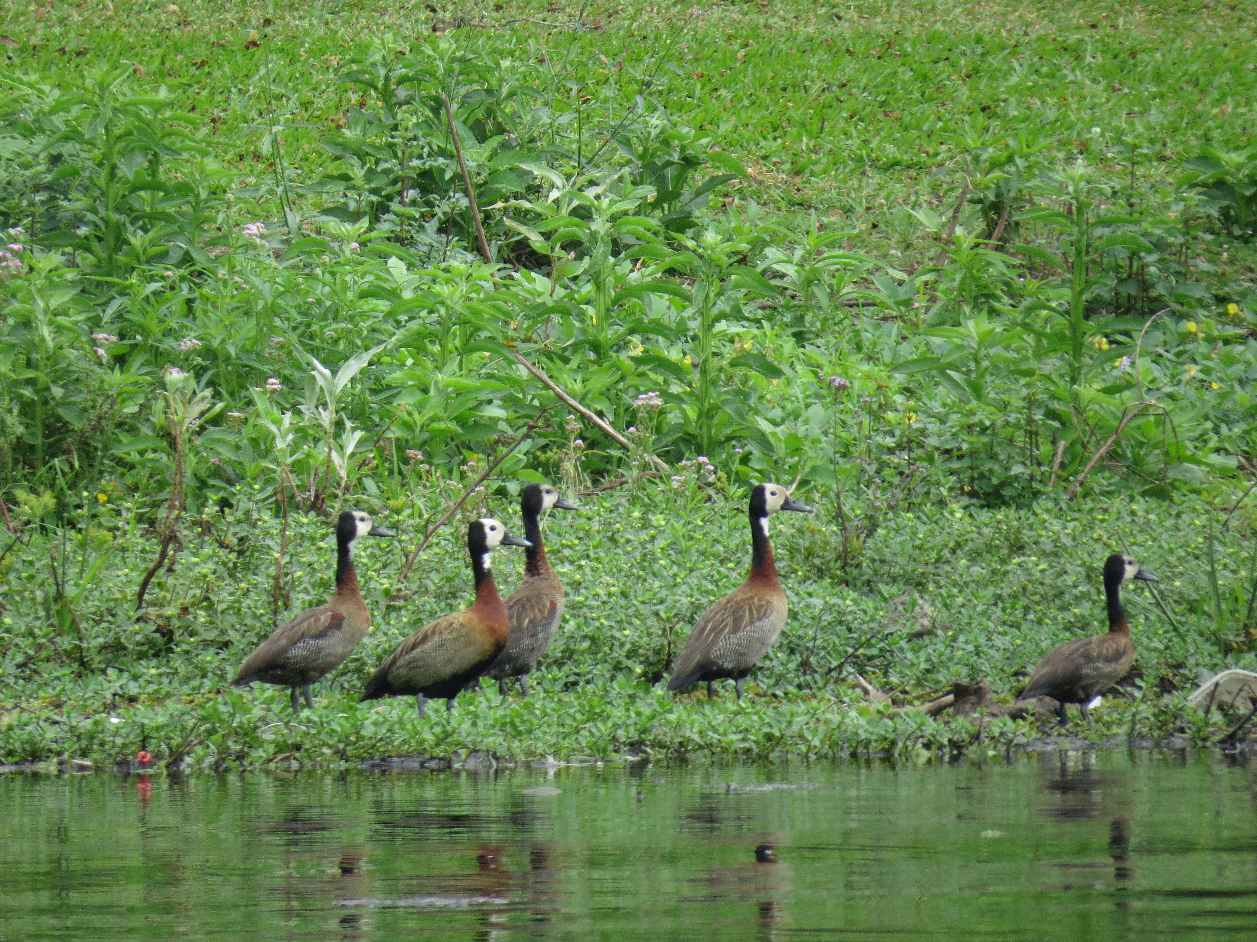 Photo by jaimedantas