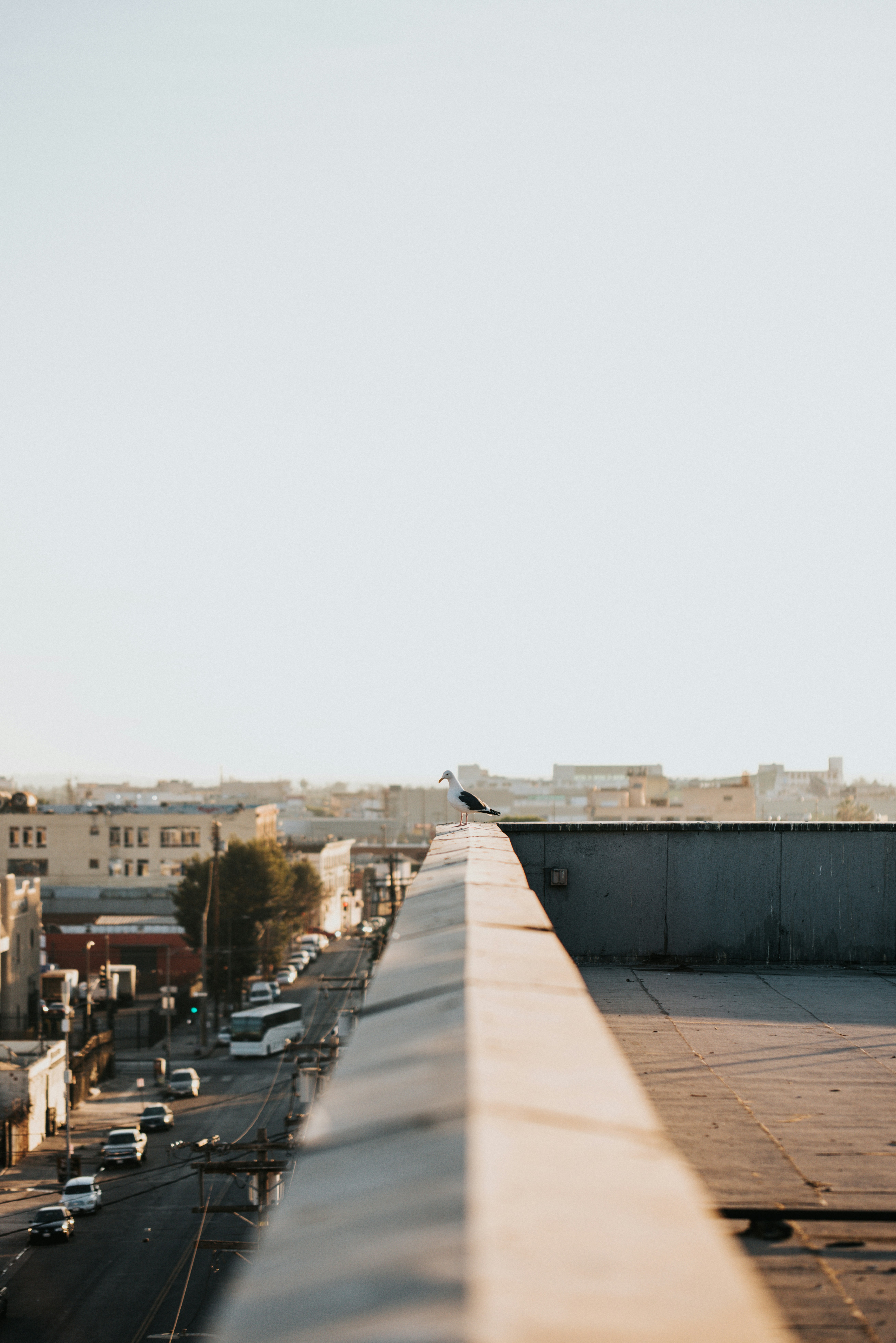 Photo by nate_dumlao