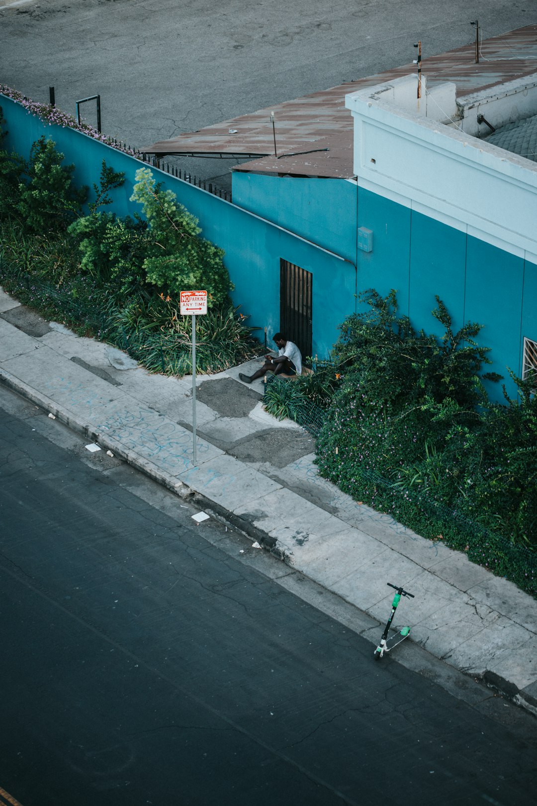 green plants beside blue concrete building