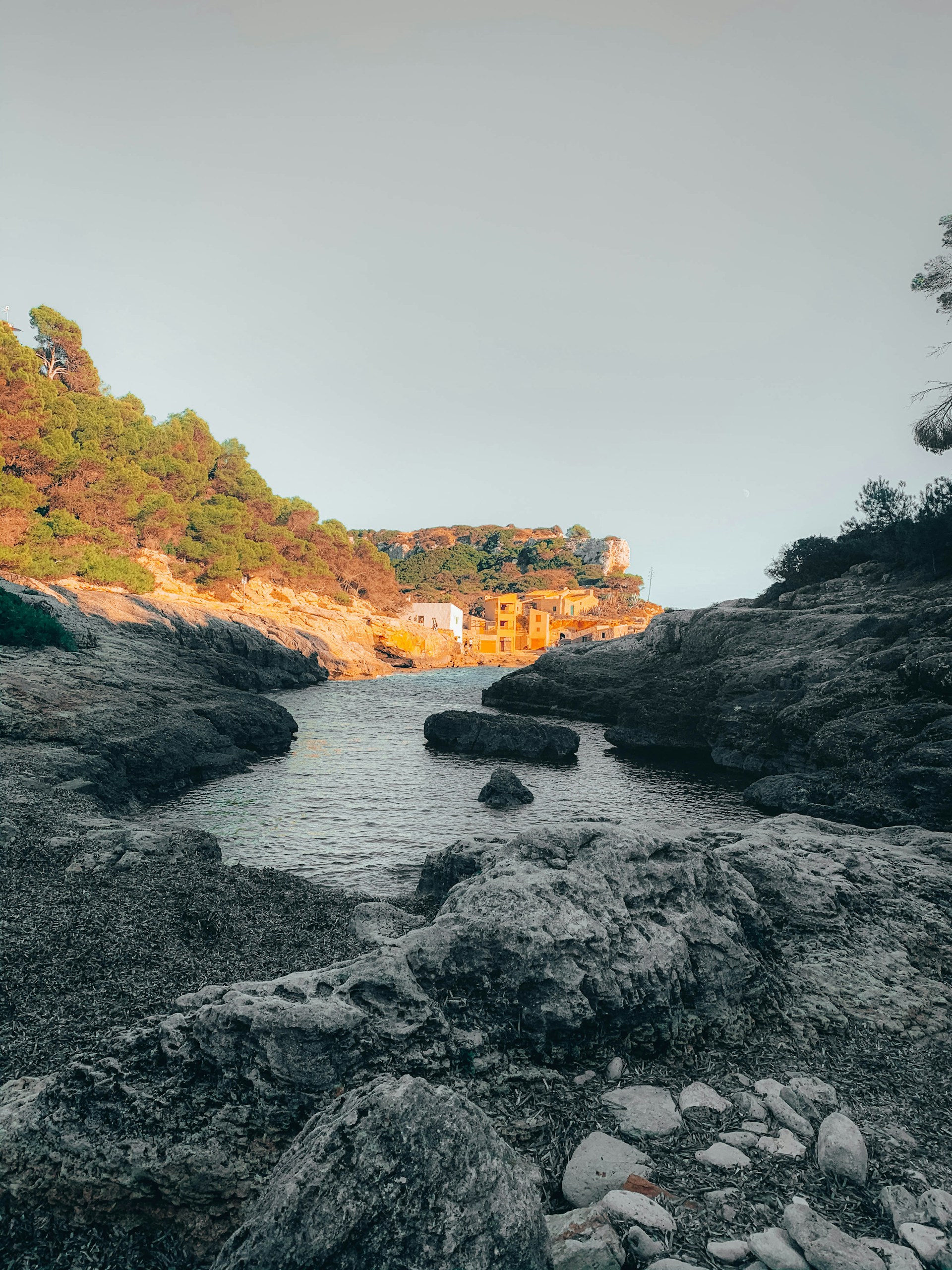 A serene coastal scene of Sorrento, featuring colorful houses perched on cliffs overlooking the sparkling Mediterranean Sea.