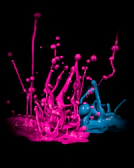 A vibrant motion animation snapshot featuring explosive paint splatters in intense colors.