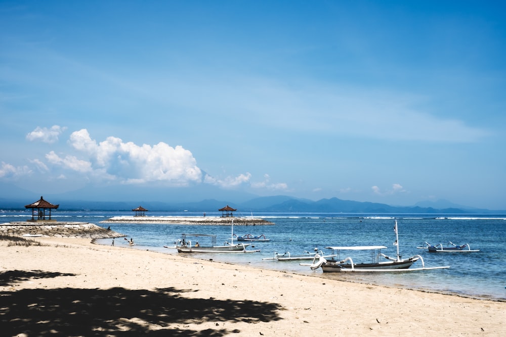 people on beach during daytime