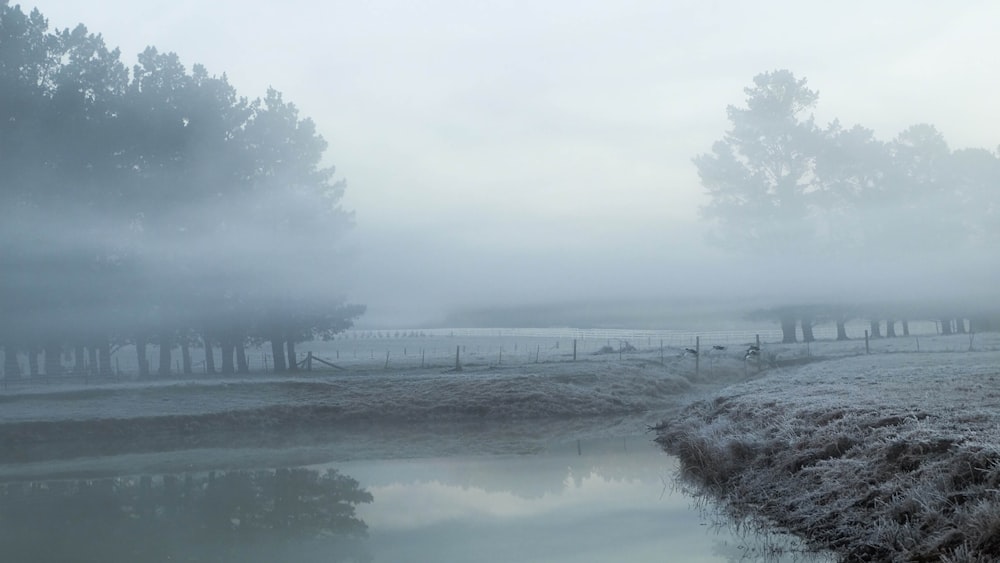 body of water near bridge under white sky during daytime