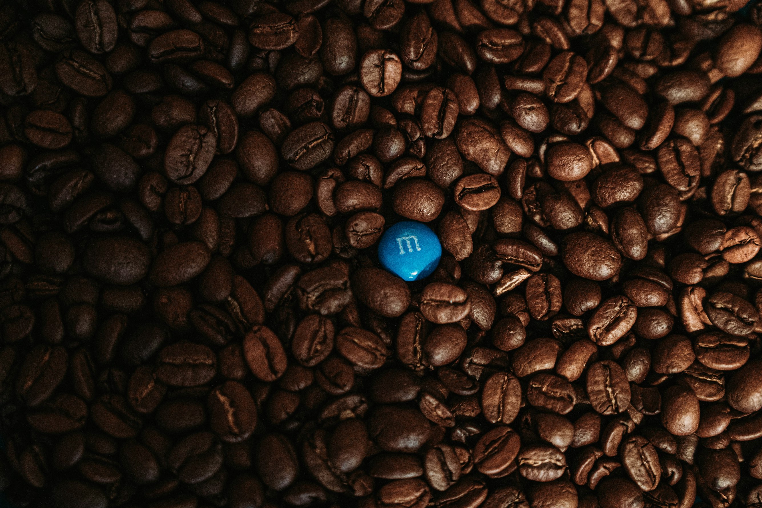 pail of coffee beans with 1 blue M&M in the middle