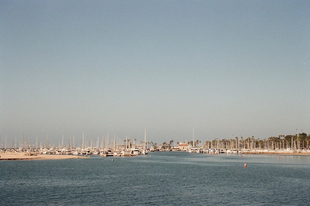 white boat on sea under blue sky during daytime