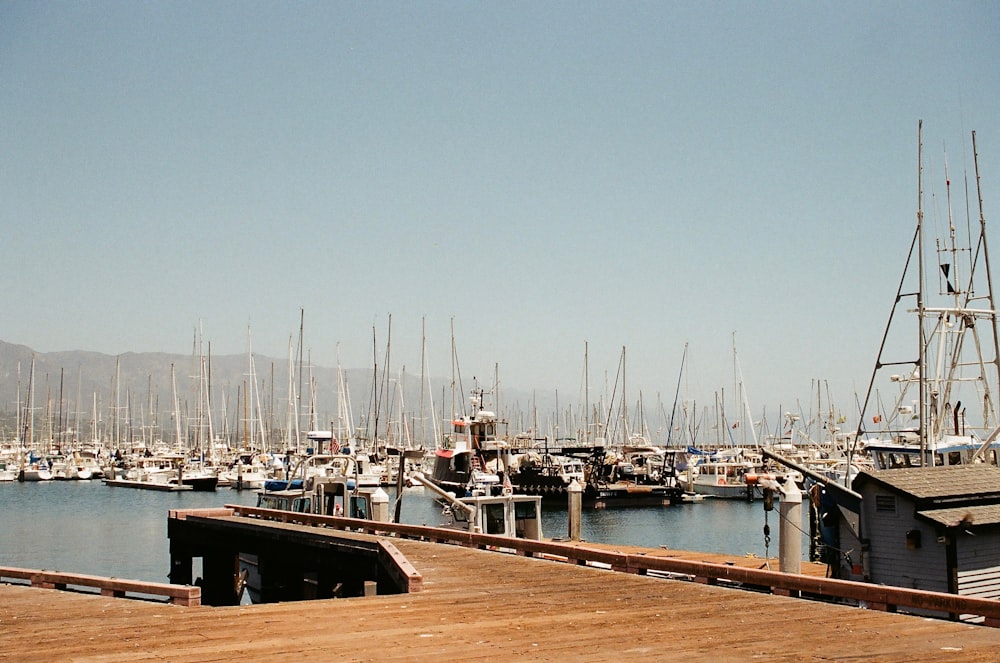 white and black boat on dock during daytime