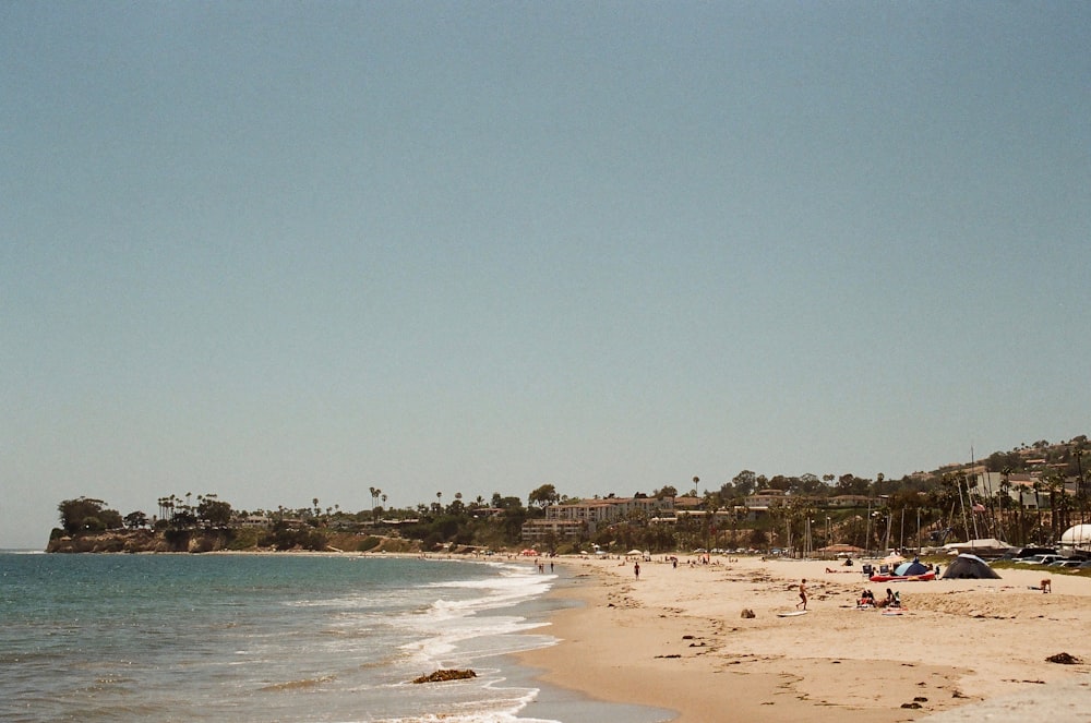 people on beach during daytime