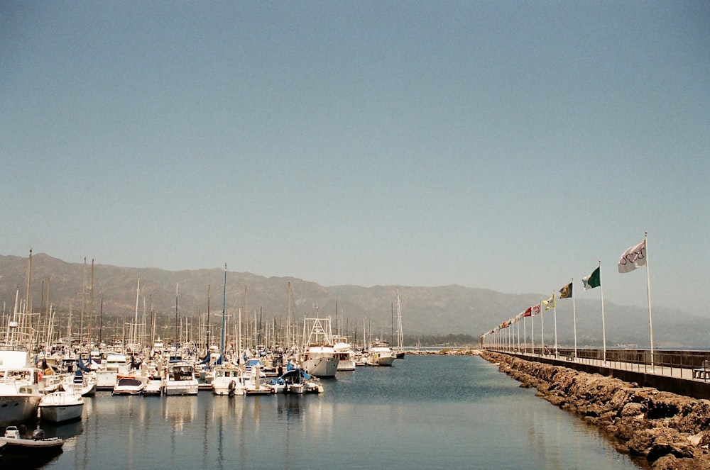 white and black boat on body of water during daytime