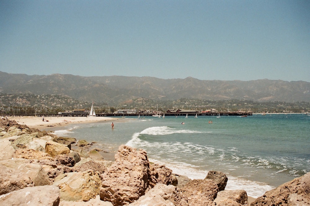 people on beach during daytime