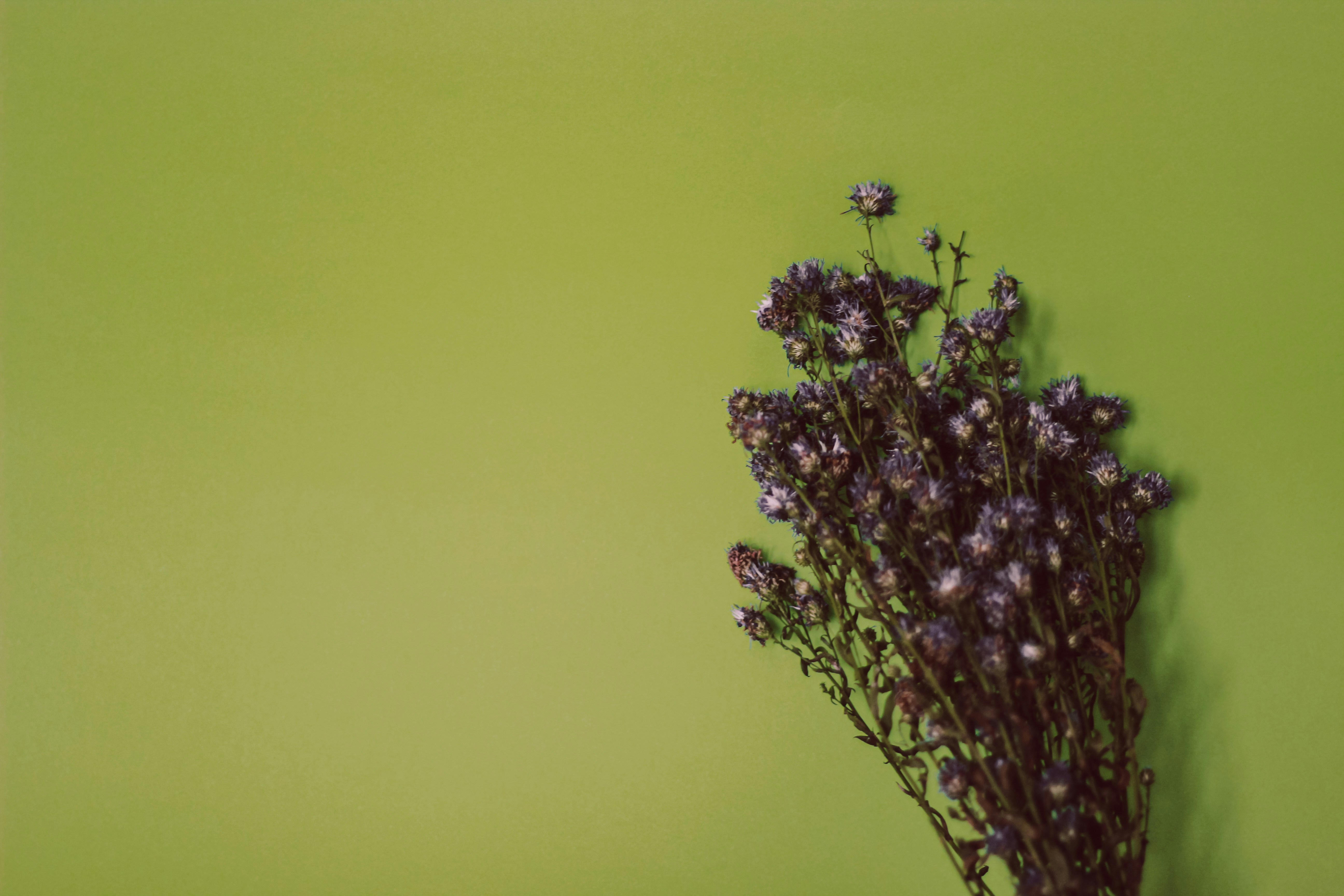 Photo by darkandflawed