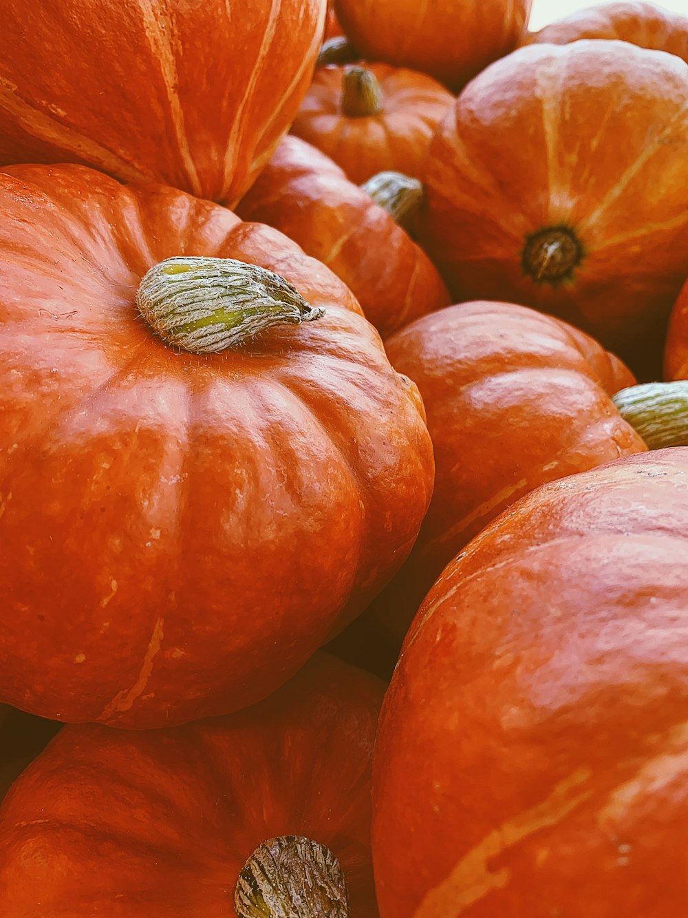 orange round fruit in close up photography