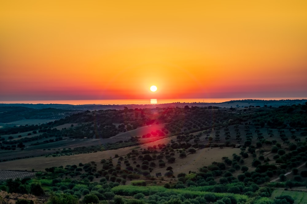 campo di erba verde durante il tramonto